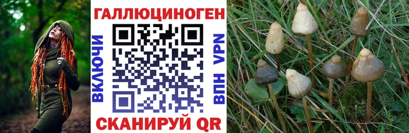 Галлюциногенные грибы прущие грибы  дарнет шоп  Мураши 