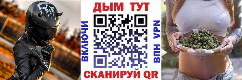 shop какой сайт  Мураши  МАРИХУАНА конопля 